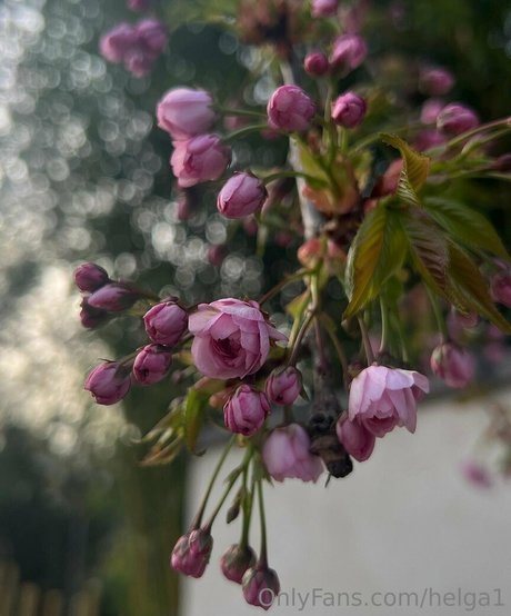 curly redhead onlyfans hot xxx images