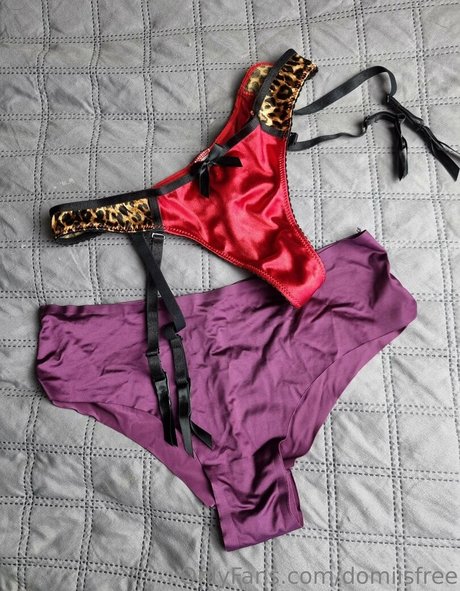 domiisfree pornstar hd galleries