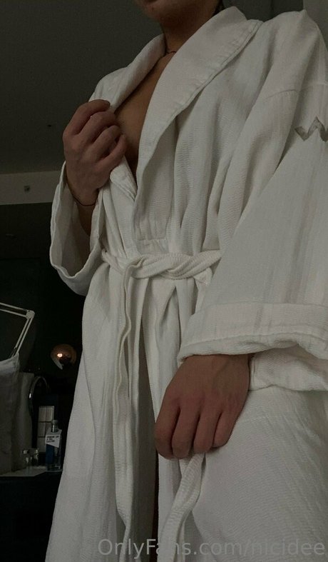 nicidee perfect star gallery