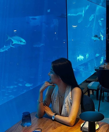 tmxlstm120 exclusive star gallery