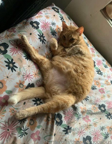 thesadsuccubus free model pic