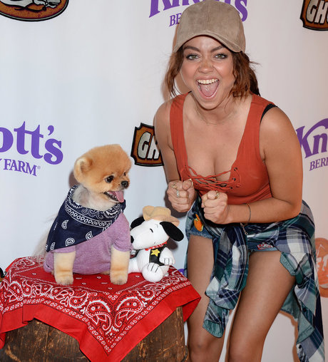 Sarah Hyland top pornstar pic