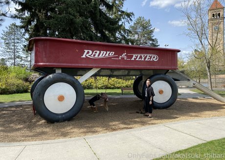 akatsuki shibari star hd archive