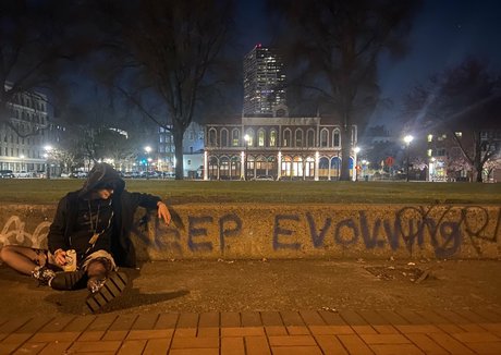 acaiadynna beautiful star galleries