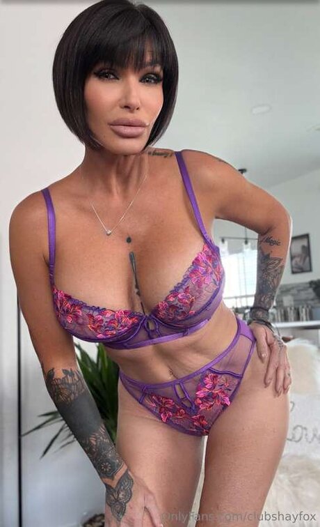 Clubshayfox profile pic