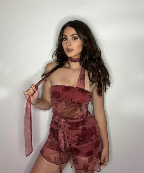 Palmbee adult star galleries