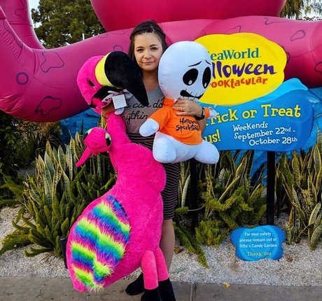 cowtail top star gallery