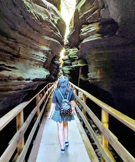 cowtail hot star image