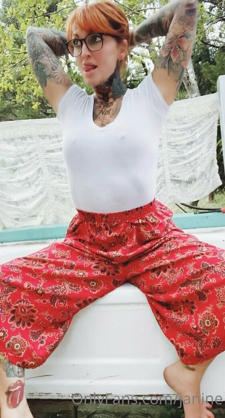 janine perfect pornstar image