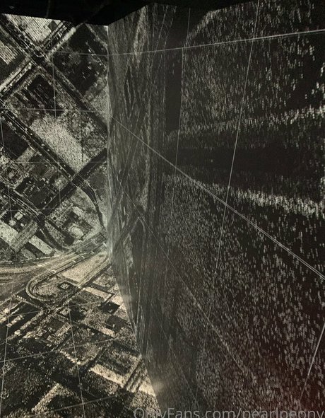 pearlpeony model top img