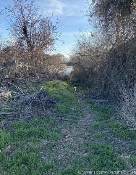 vixenshelbyfree perfect model photo