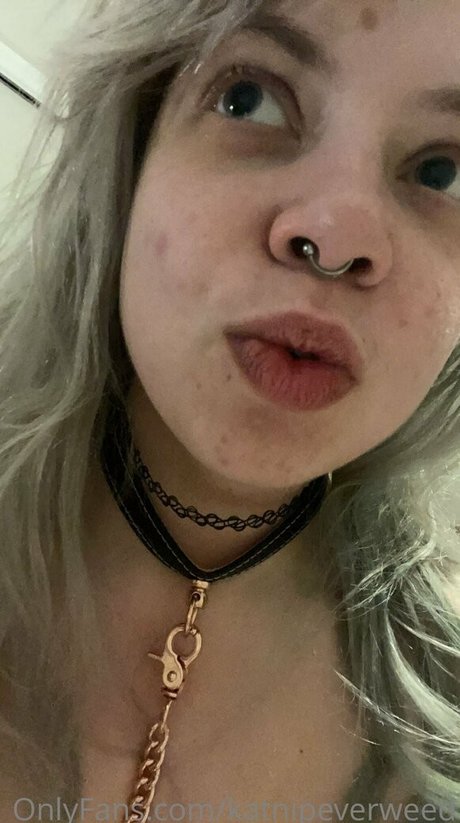 katnipeverweed star beautiful archive