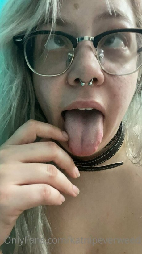 katnipeverweed high quality model images