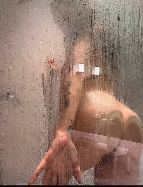 Anne W nsche art star img