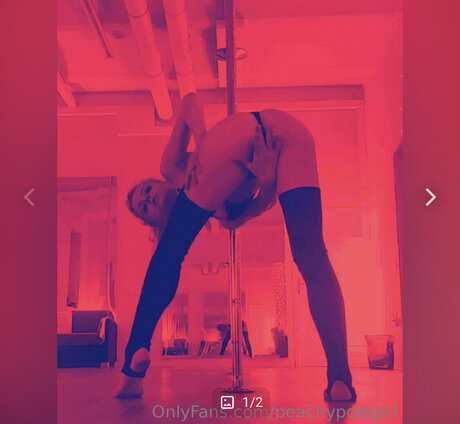 Peachypolegirl art actress picture