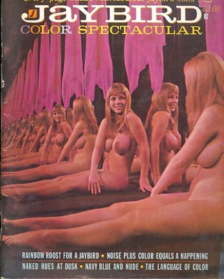 Classic Porn Magazines sex actress pic