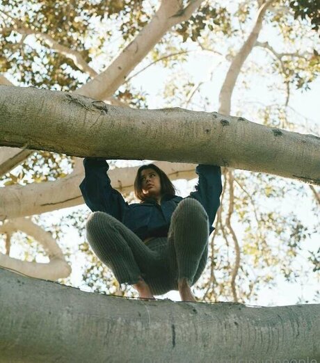 Rumpledtitskin pretty star galleries