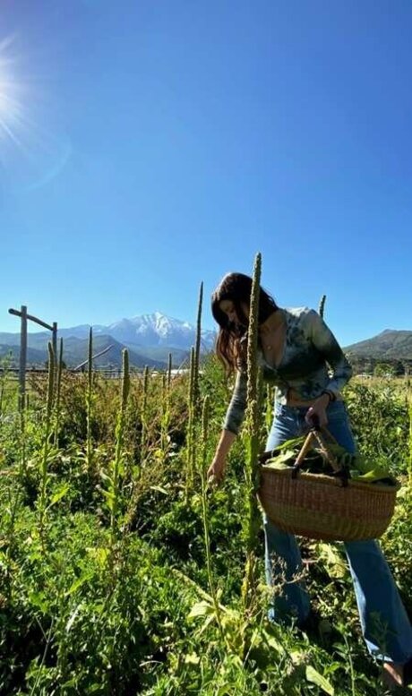 Rumpledtitskin high quality model img