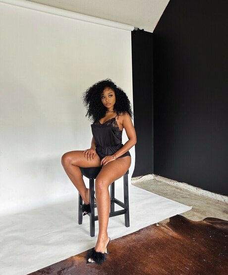 Trapezoidmouth free star galleries