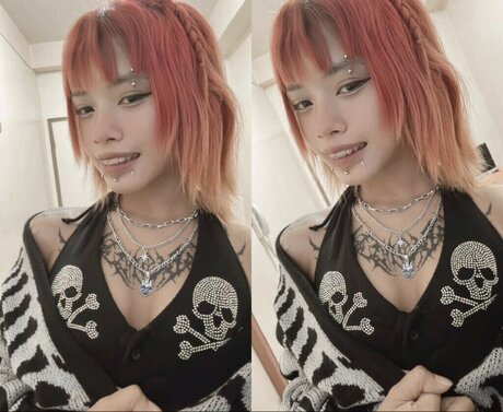 zems3lling model gallery