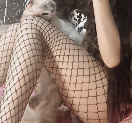 zems3lling model beautiful img