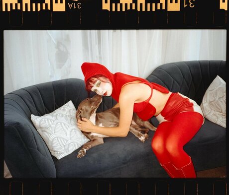 Wallice high quality star archive