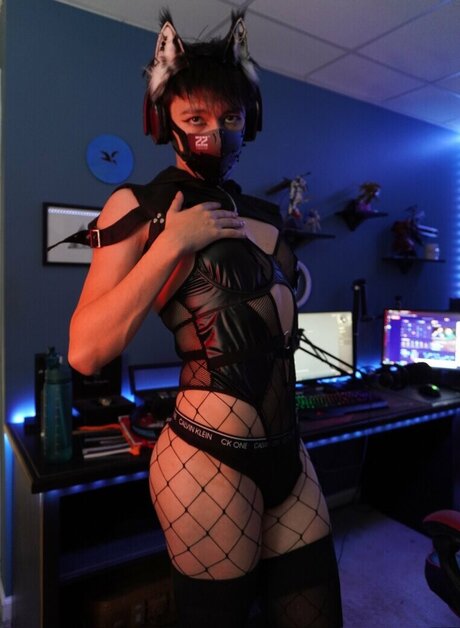 willzoneium model images