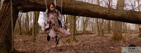 DomTheNation star hot galleries