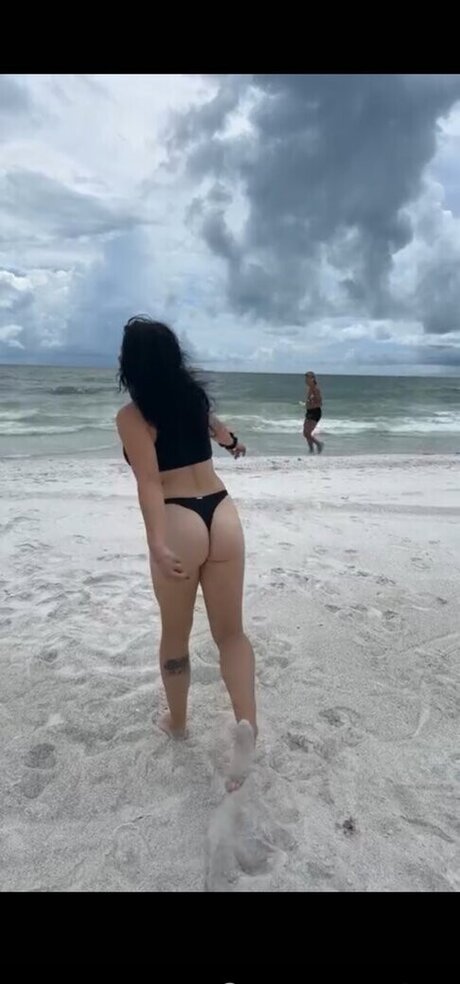 Notsoerudite star top archive