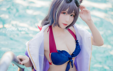 Shiraga Yanko star free picture