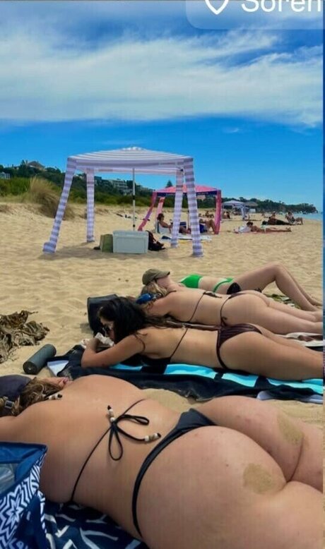 Anakakfit porn actress gallery