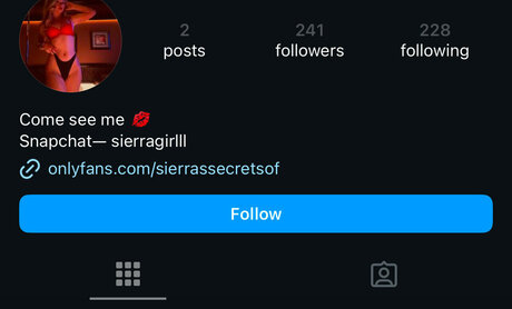 sierrassecretsof model free archive