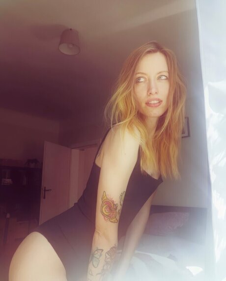 einfachsonina thumbnail