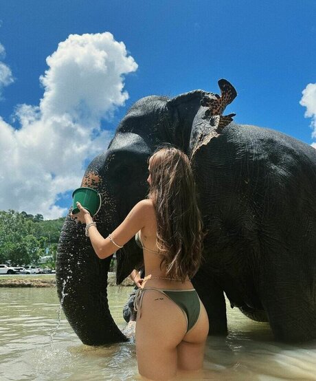 Domelipa pornographic star pic