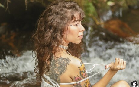 Dinhasun pornstar art gallery