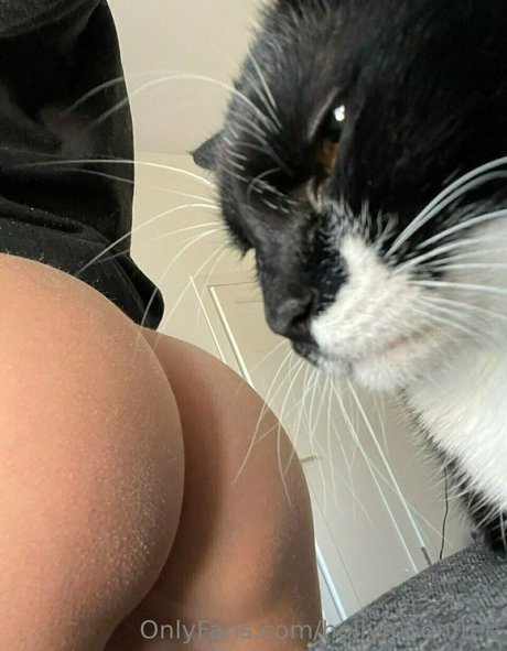 hollymoonvvip pornstar adult img