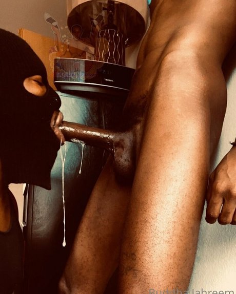 buddhajahreem star free photos