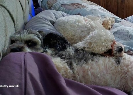 LanaRN exclusive model pics