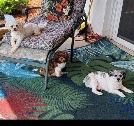 LanaRN art pornstar galleries