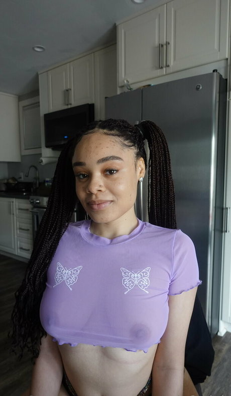 persian muffins pretty star archive