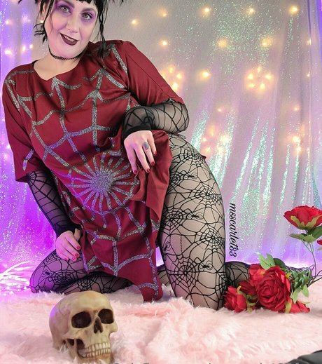 msscarlet83free star hd img