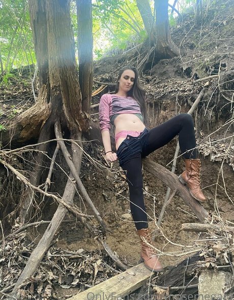 musemegara nice star galleries