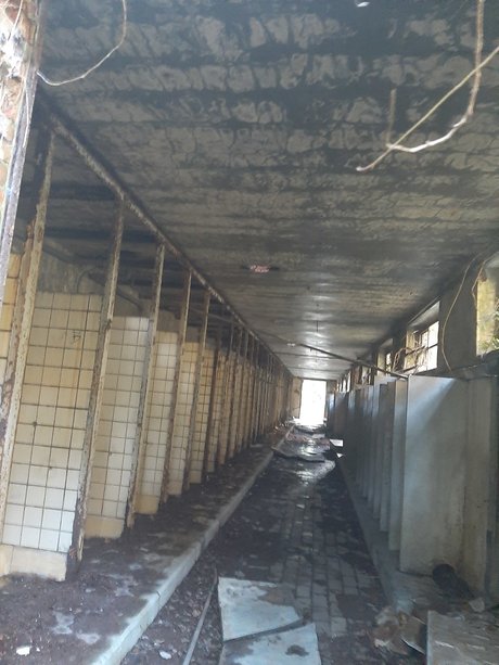 LordShwanzy pornstar hd photo