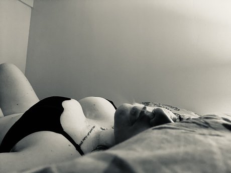 Lizzinked pornstar nice pics