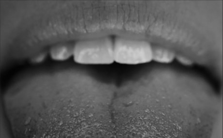 Macro Shot_ star hd galleries