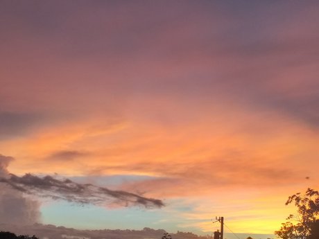 _BOSS_ top pornstar images