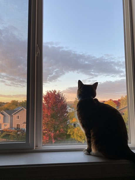 Feets R Us hd star pics