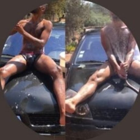 iceteam star adult photo