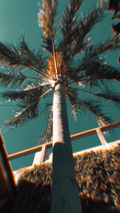 Desmon hd actress archive