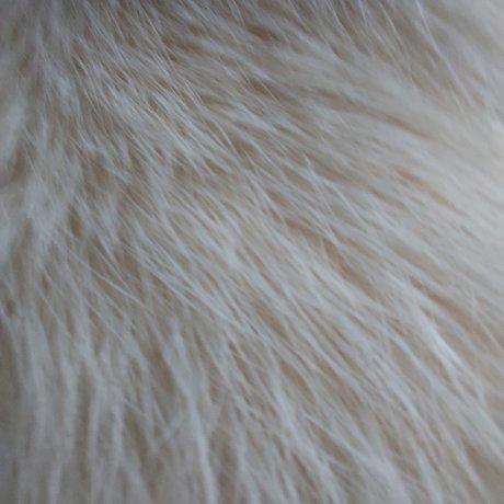 Yellow Heart pornstar high quality photo